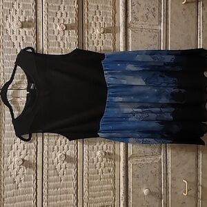 Disney plus size Cinderella dress